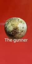 อาจเป็นรูปภาพของ ลูกบอล และข้อความพูดว่า "The gunner"